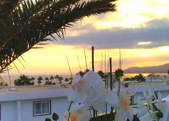 Azul Vista Mar With Pool * プエルト・デル・カルメン