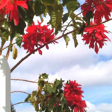 公寓 Azul Vista Mar With Pool 卡门港