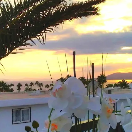 Azul Vista Mar With Pool * 卡门港