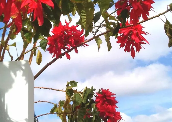 Lägenhet Azul Vista Mar With Pool Puerto del Carmen (Lanzarote)